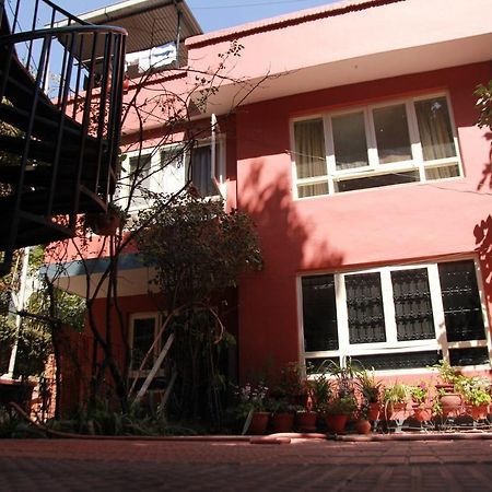 Ojas Wellness B&B Lalitpur Exterior foto